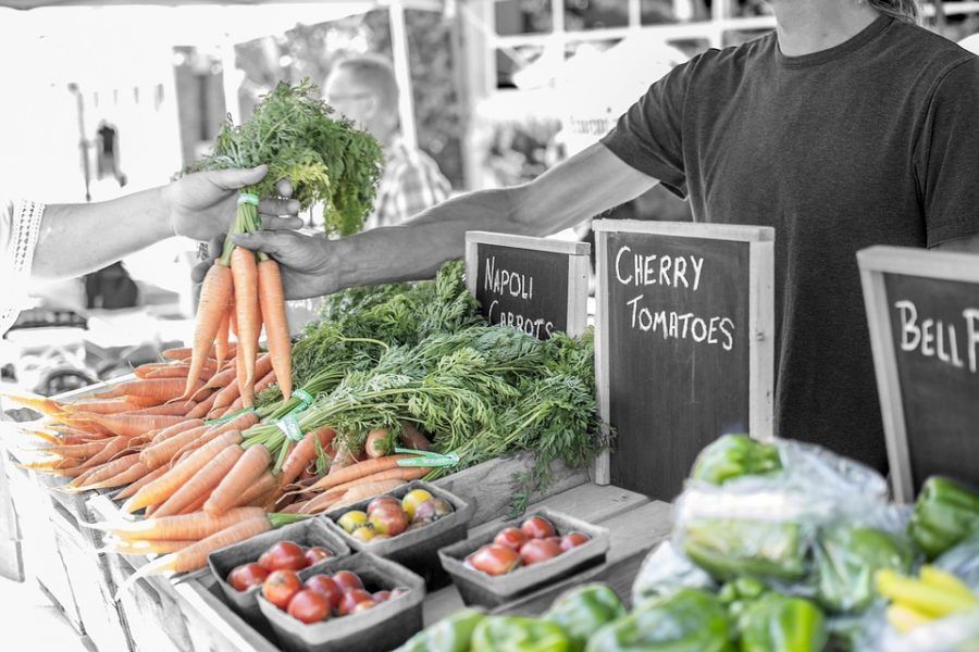 los alimentos ecológicos