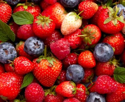 El Papel de los carbohidratos vegetales en el rendimiento deportivo.